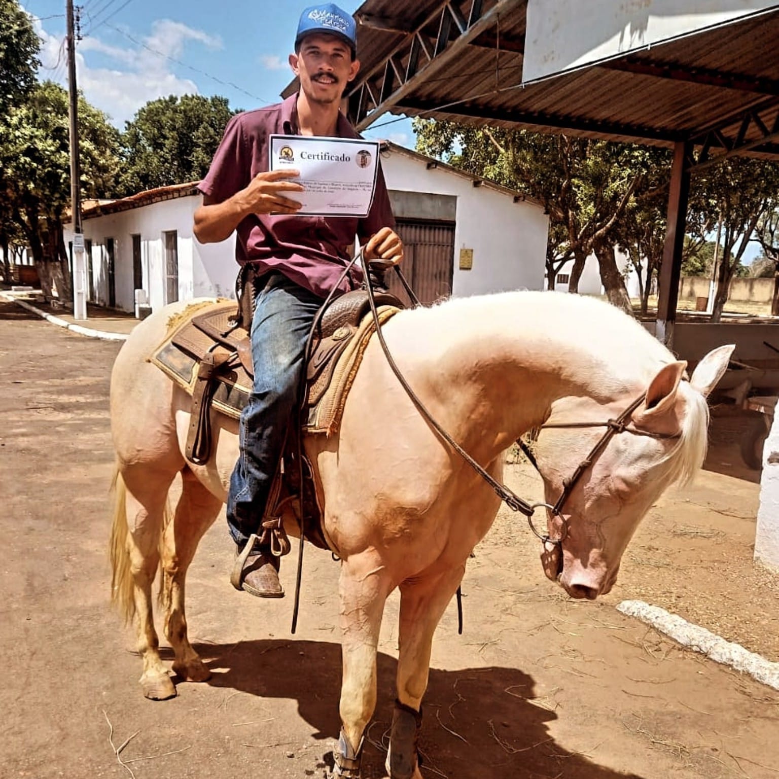 Domador Barroso com cavalo